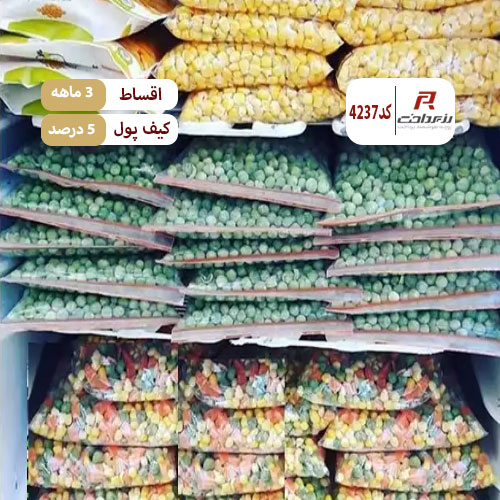 سبزیجات آماده باغ ریحون شعبه مسکن