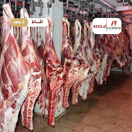 شهر گوشت